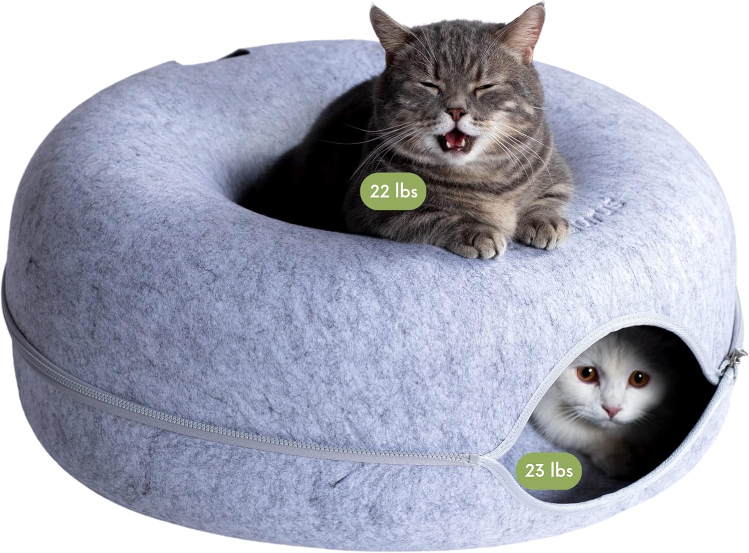 Cat House