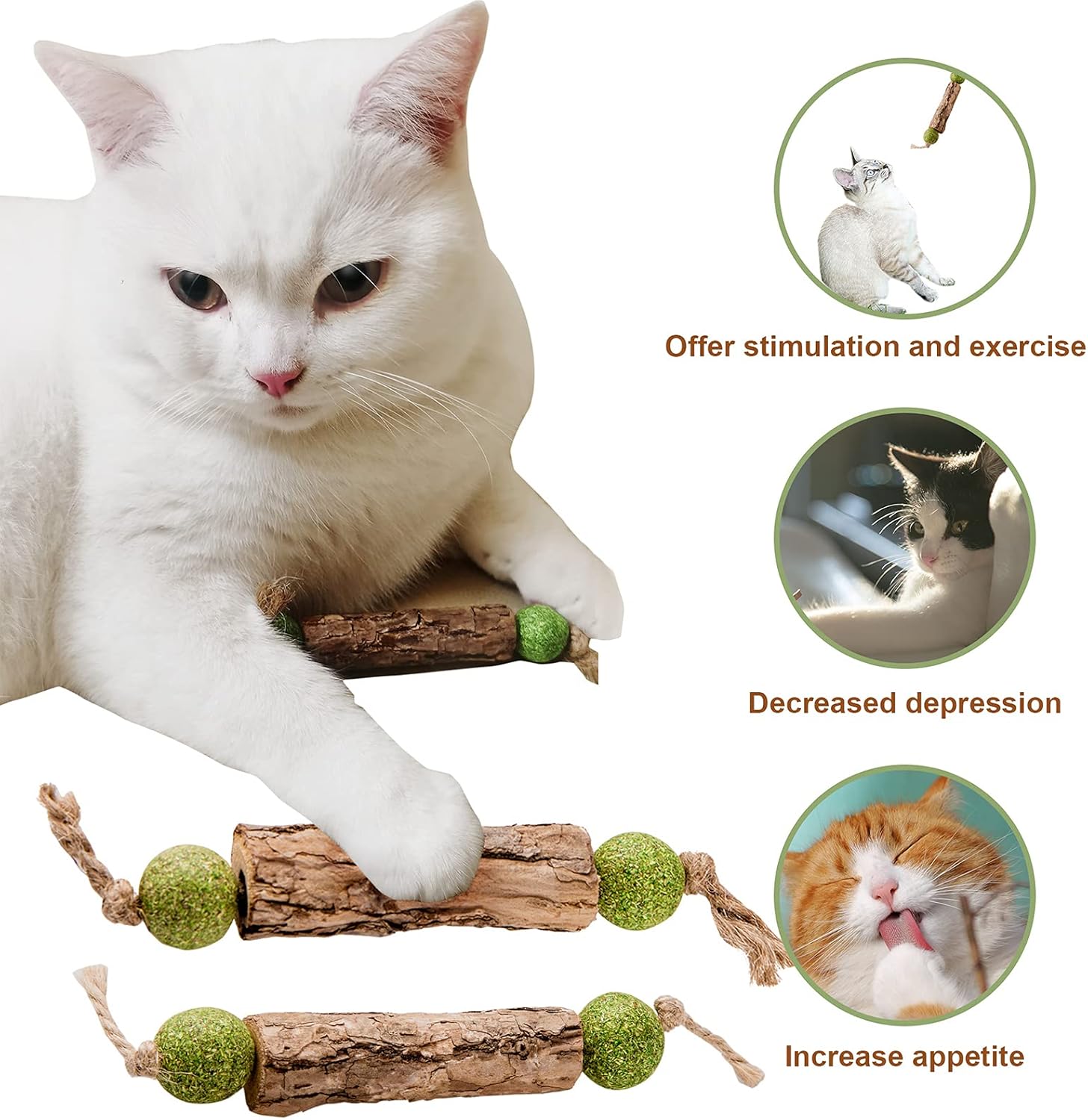 Cat Treat