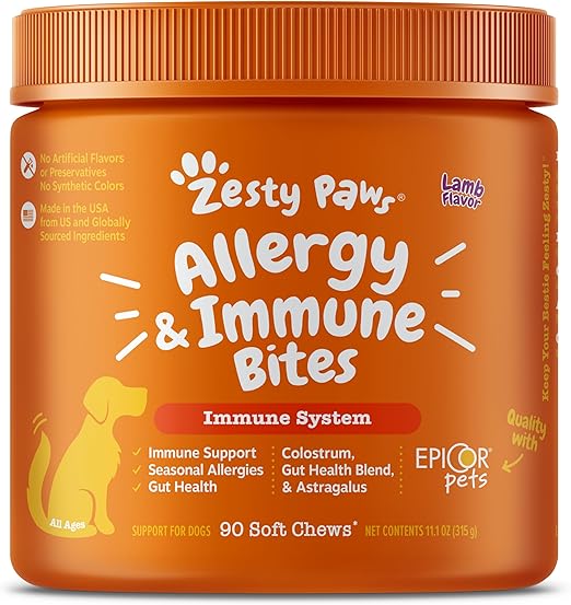 Dog Treat